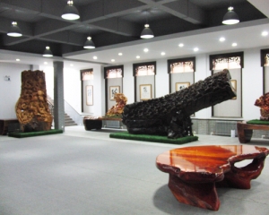 藝術(shù)展示中心